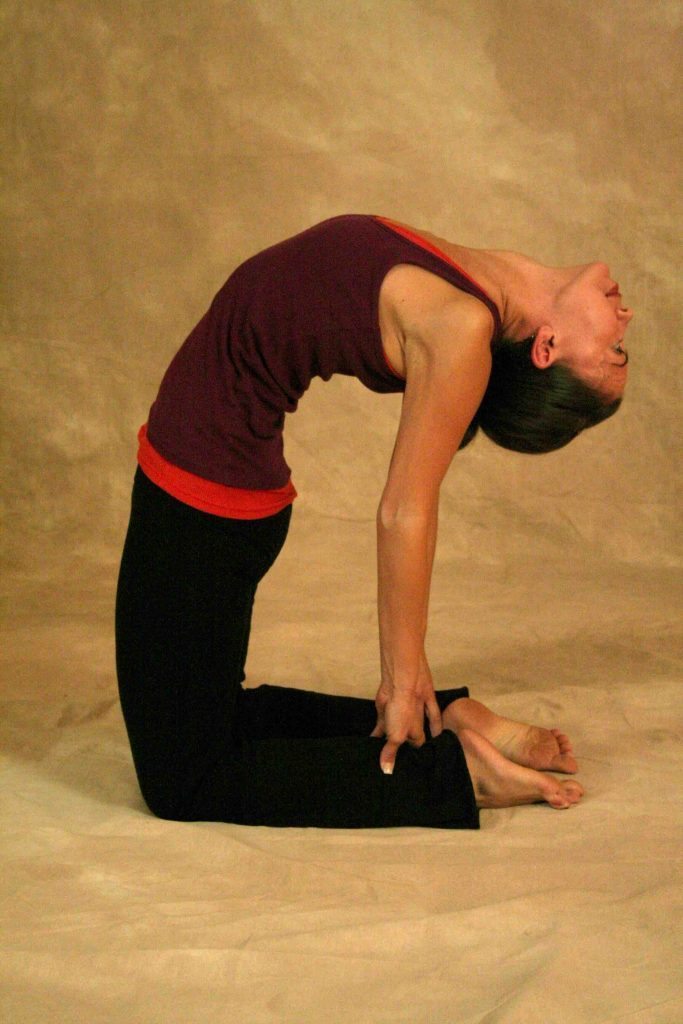 Bharadvaja's Twist - Ekhart Yoga
